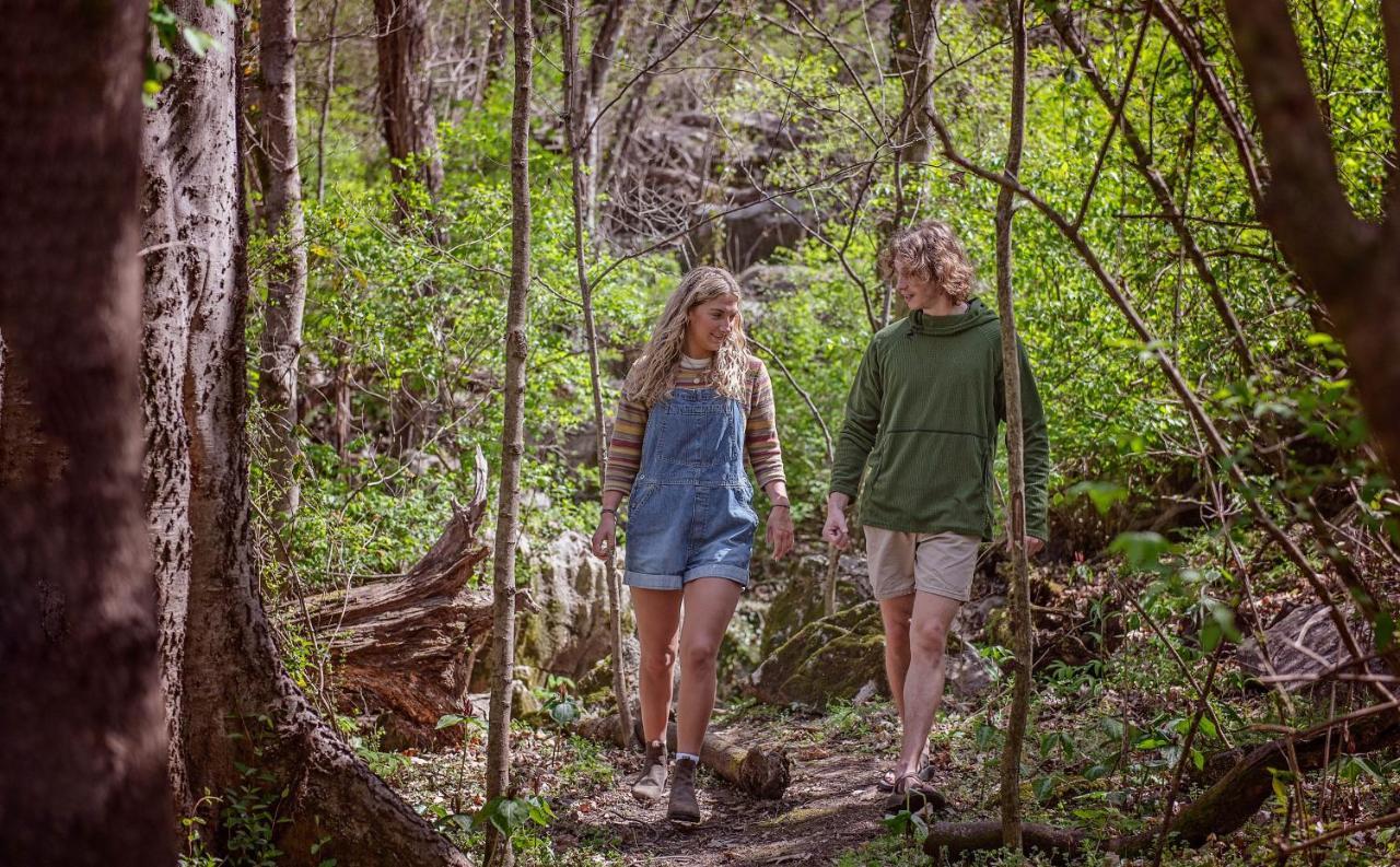 Thomas Cabin Forest Tiny Cabin With Hot Tub Chattanooga Exteriér fotografie